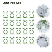 Multiple plant climbing clips supporting a growing vine on a textured wall.