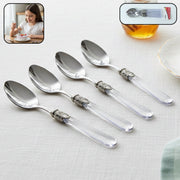 Elegant stainless steel dessert spoon set with transparent handles
