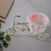 Side view of bicycle flower pot stand holding flowers