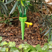Plant Watering Spike inserted in soil near roots for slow hydration