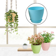 Various plants thriving in the stylish plastic flower pot set, arranged in an indoor setting.