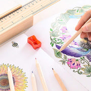 Top-down view of twelve colorful wooden pencils laid out in a fan shape.