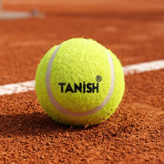 Sports tennis ball designed for professional training and recreational play