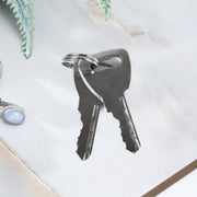 Heavy duty lock with protective polymer sleeve and 2 keys included