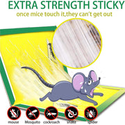 Foldable and reusable cardboard mouse trap with strong adhesive by Indo Glow.