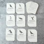 Montessori-aligned bird flashcards promoting sensory and cognitive learning for toddlers