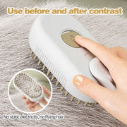 Packaging of the Electric Pet Steam Brush, highlighting key benefits.