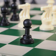Organized plastic pouch storing all components of portable chess set