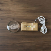 3D crystal LED lamp displayed showing wooden base and horse engraving details
