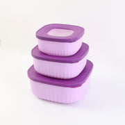 Leak-resistant food saver container set with coordinated colours