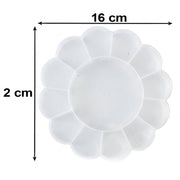 Transparent organizer lid view