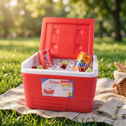 Compact insulated beverage cooler box 3 litre in red