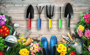 A collection of individual gardening hand tools, including a weeder and trowel, against a natural background.